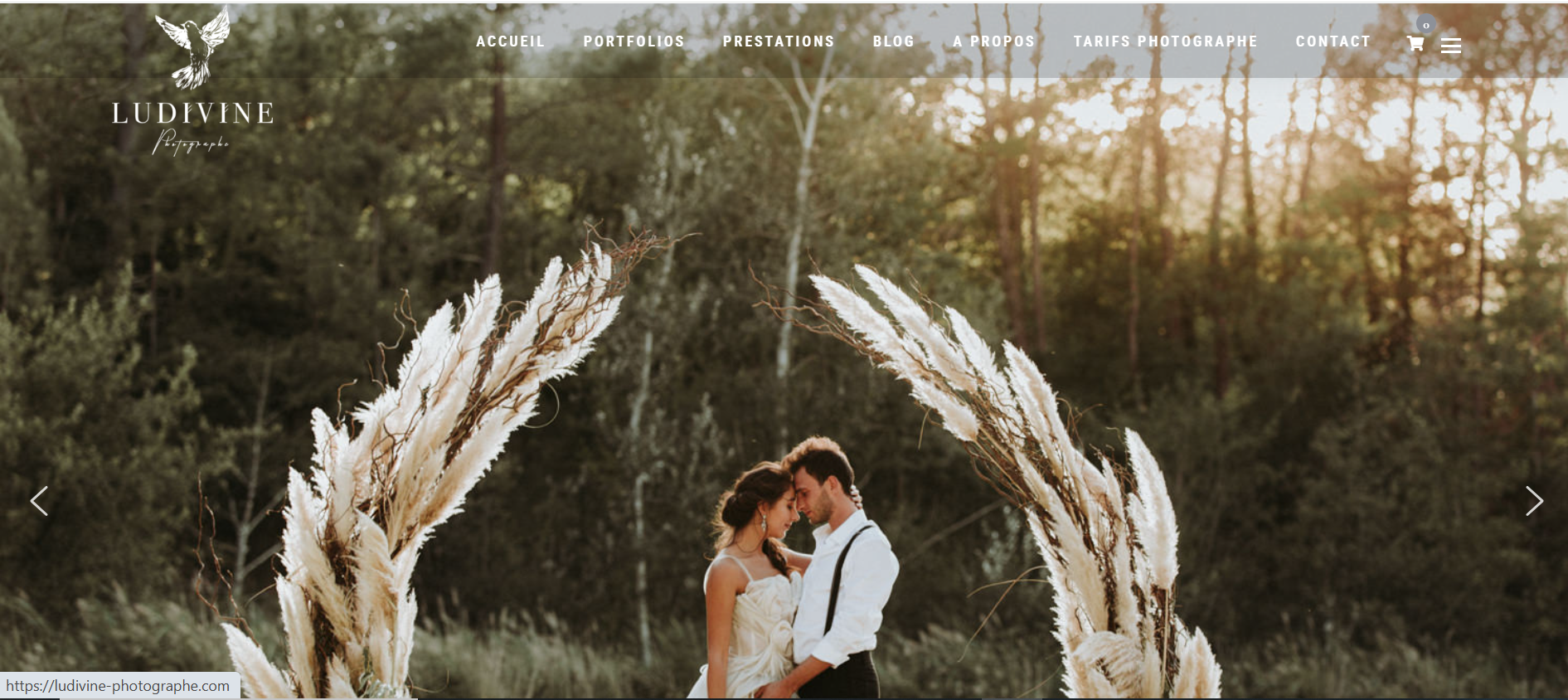 Ludivine-photographe.com